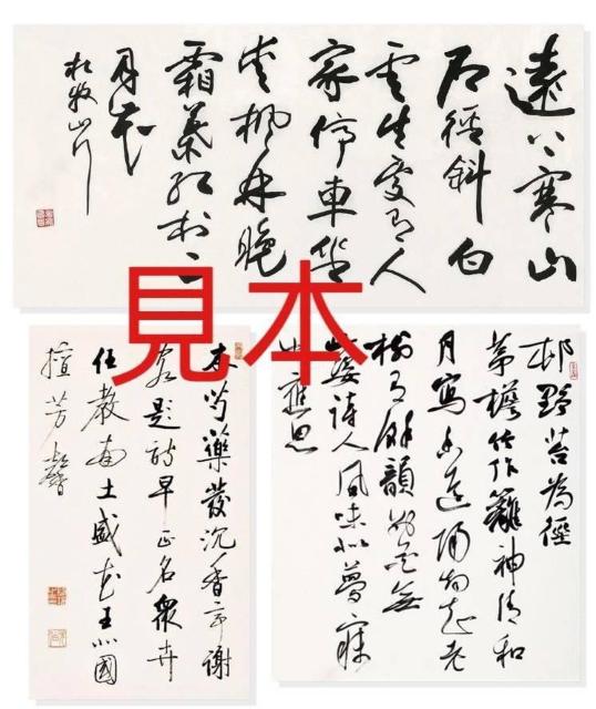 �����鎆�y�����������z���� �ʔ� �Ö@ �l�ڒP�� �ꔽ100�� 2009�N���Y ���� �����d�ʖ�4.5kg 80%�h�� ���[�l�� �� ��������� 