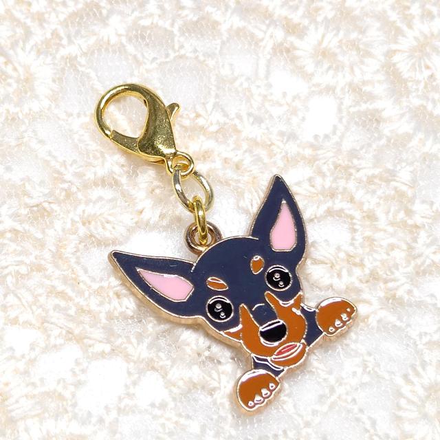 ハンドメイド☆ファスナーチャーム☆犬☆ミニピン < 女性ファッション  ハンドメイド☆ファスナーチャーム☆犬☆ミニピン  < 女性ファッションの
