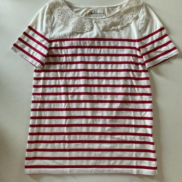 z@܂ނ@MTCY@{[_[@ԁ@ݎhJ@@TVc 