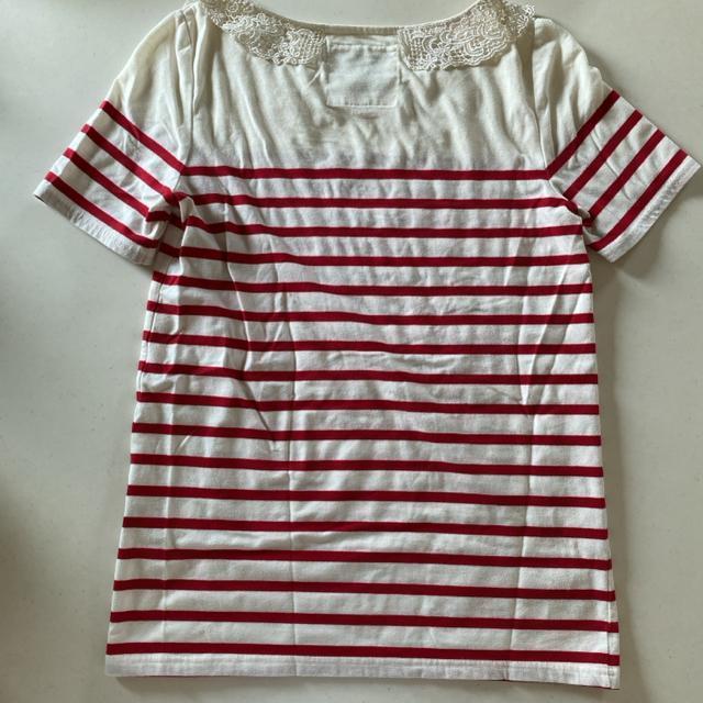 z@܂ނ@MTCY@{[_[@ԁ@ݎhJ@@TVc