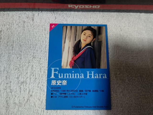 �g���J '99/11 �K�[���Y2  ���j��  ���M�T�C�� �� �^�����g�O�b�Y�� 