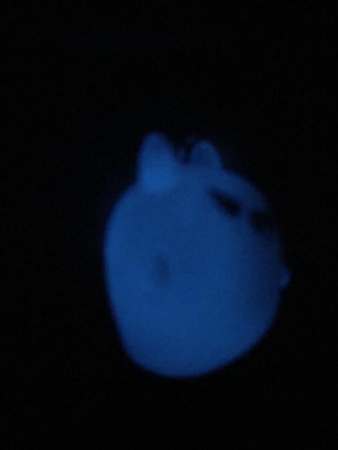 ÈłŌI킢IoP̌gуXgbv B@~   LN^[G L[O obOANZT[  Ɠd/AV 