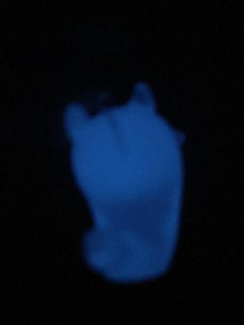 ÈłŌI킢IoP̌gуXgbv B@~   LN^[G L[O obOANZT[  Ɠd/AV 