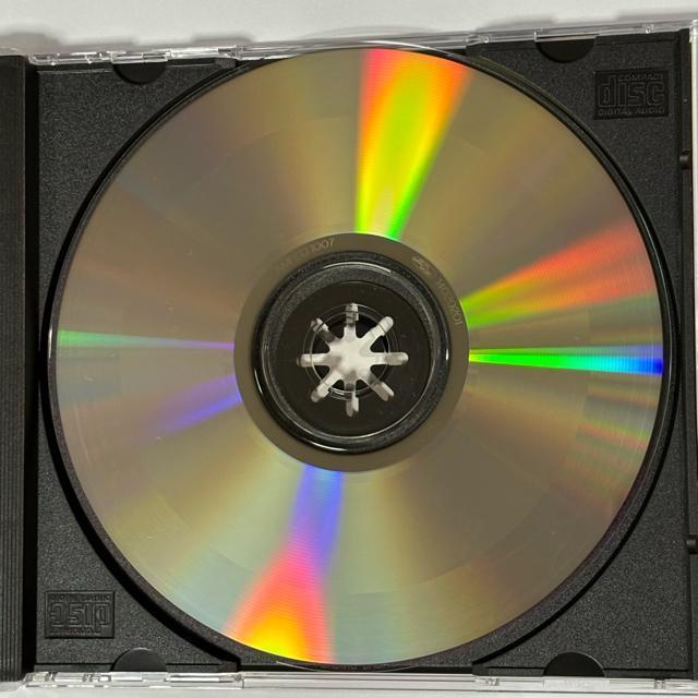 The Potatoes / This Is The Potatoes < CD/DVD/ビデオ  The Potatoes / This Is The Potatoes < CD/DVD/ビデオの