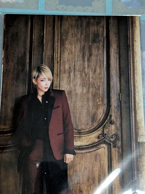 宝塚ポストカード < ホビー 宝塚ポストカード < ホビーの