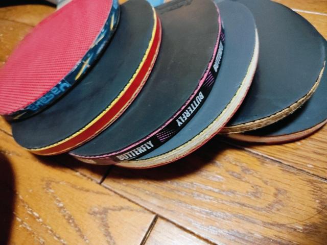 VICTAS Butterfly �o�^�t���C �r���[�o �싅 ���P�b�g �y�� �V�F�C�N�n���h �܂Ƃ� �� ���W���[/�X�|�[�c�� 