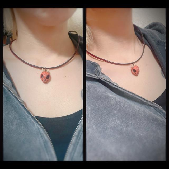 HM���b�̏��S �S �� ���W�� �V�R�� �t���[���C�g ��� ����� �`���[�J�[�l�b�N���X �ԋS �d�� ���� �� �����A�N�Z�T���[/���v�� 