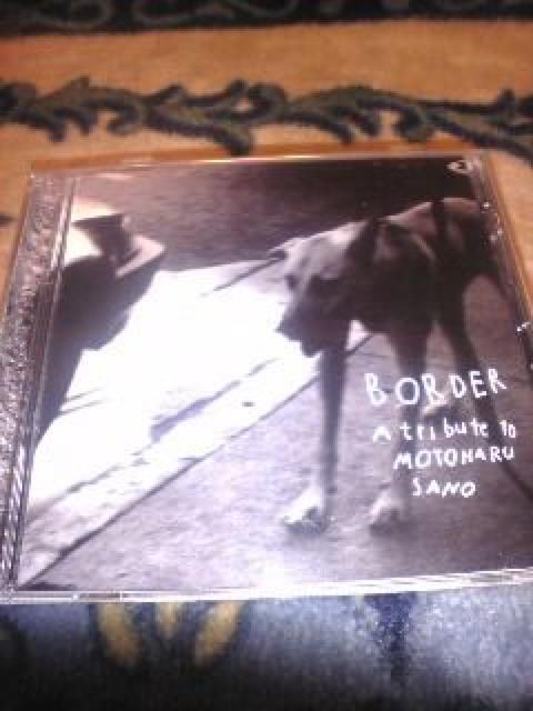 佐野元春トリビュートCD,川村カオリ、プレイグス < タレントグッズ  佐野元春トリビュートCD,川村カオリ、プレイグス  < タレントグッズの