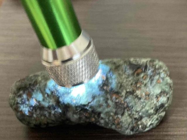 1,100~X^[gIuC[ƁvuWG[Ɓv̑fނɁu֖⌴΁vI  t@bV 