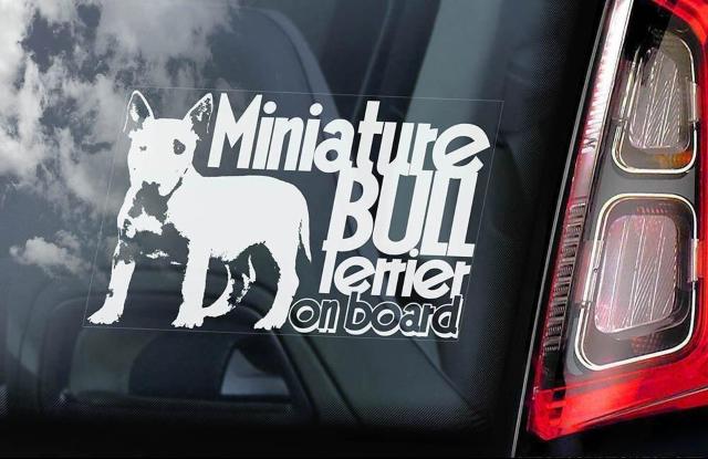 ~j`AueA/~j`AEueA @ O J[XebJ[ 155~100mm O\ J[ XebJ[   /oCN