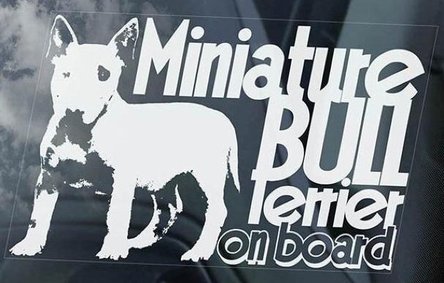 ~j`AueA/~j`AEueA @ O J[XebJ[ 155~100mm O\ J[ XebJ[   /oCN