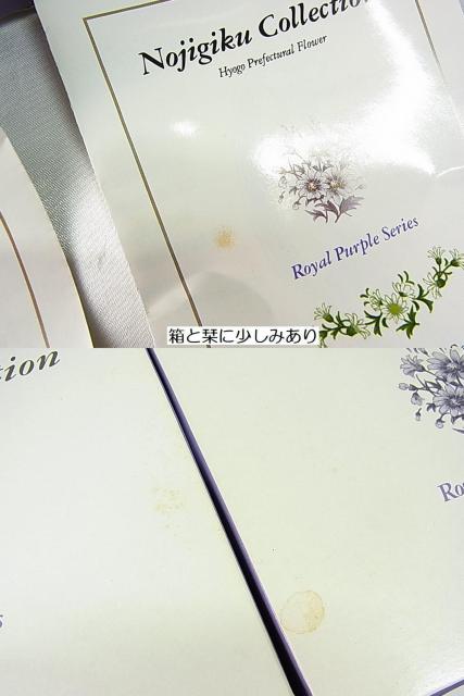 500�~�X�^�y���g�p�z�m�W�M�N�R���N�V���� ���C�����p�[�v���V���[�Y �I�[�g�~�[���{�E�� �񔄕i �� �C���e���A/���C�t�� 