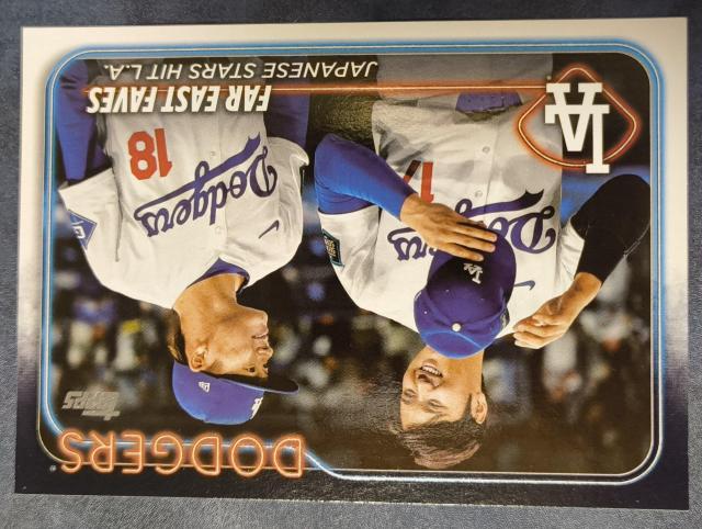 hW[XJĕI聕R{RL   g[fBOJ[h 