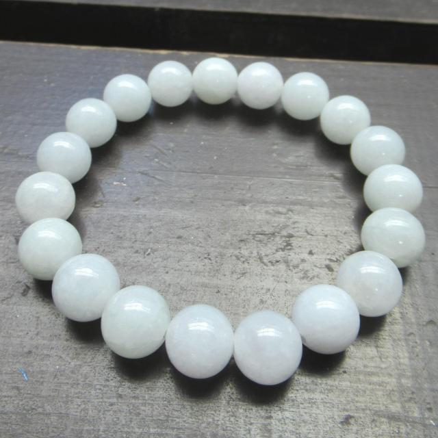 10~ʁ@{ŐEWF_CguXbg@VR   jANZT[/v 