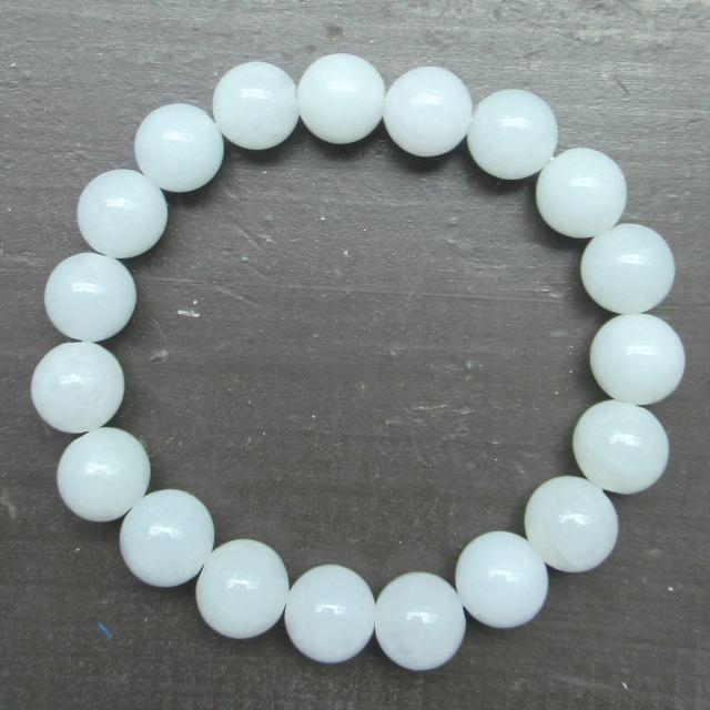 10~ʁ@{ŐEWF_CguXbg@VR  jANZT[/v 