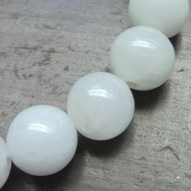 10~ʁ@{ŐEWF_CguXbg@VR  jANZT[/v 