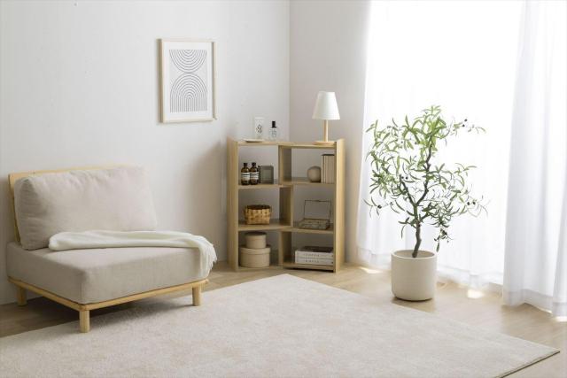 yzy40-75cmzSunapLkbN [ ؖڒ I  CeA/Ct 