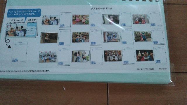 ][g2026ʕJ_[|XgJ[h12t