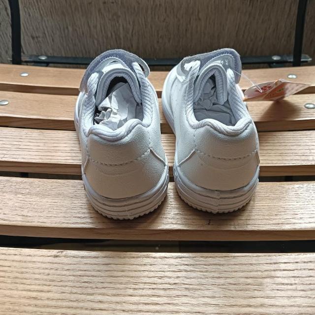 Vi 15.5cm Xj[J[ zCg qC LbY C V[Y jp  LbY/xr[ 