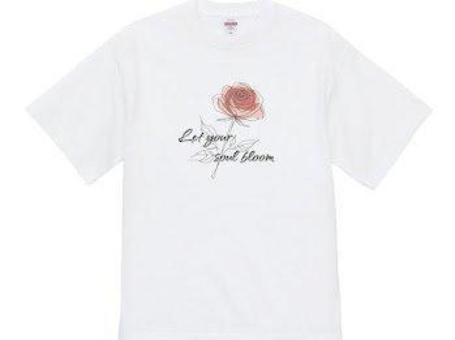 nCNIeB[ TVc bZ[WT o [Y O   t@bV 