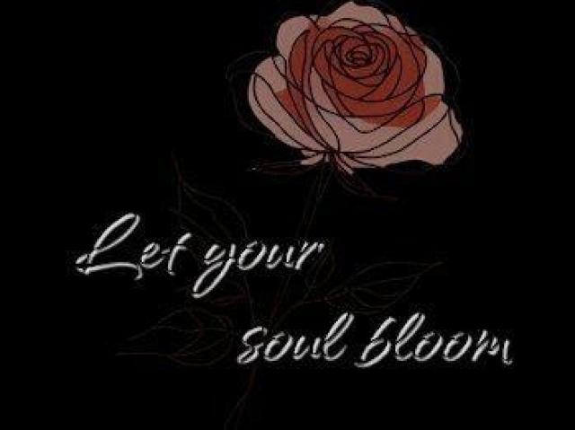 nCNIeB[ TVc bZ[WT o [Y O  t@bV 