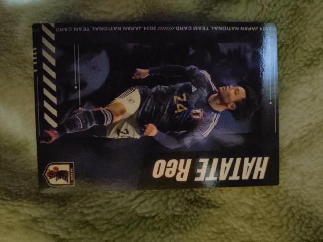 カルビー サッカーチップス カード < トレーディングカード カルビー サッカーチップス カード < トレーディングカードの