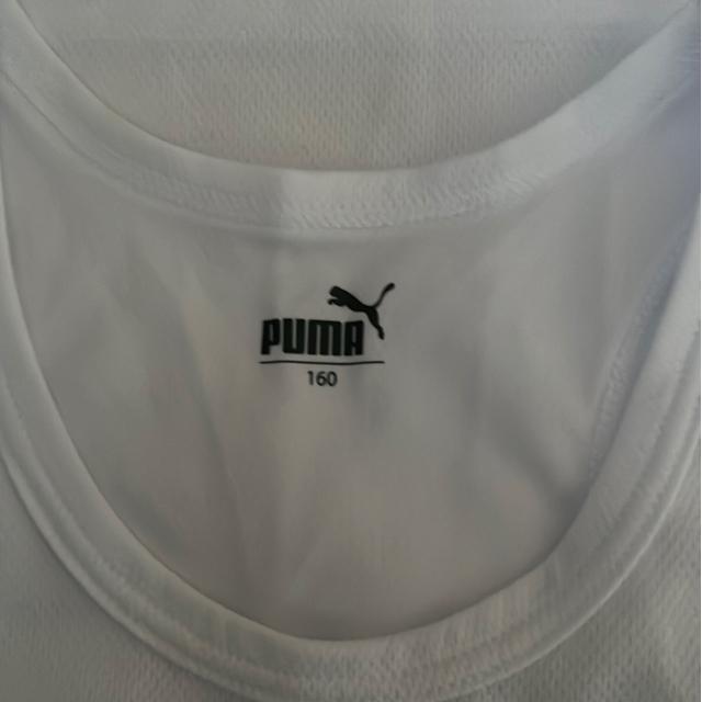 �v�[�}�̃^���N�g�b�v �� �u�����h�� 