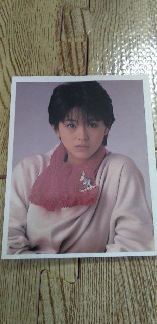 小泉今日子 写真 < タレントグッズ  小泉今日子 写真  < タレントグッズの
