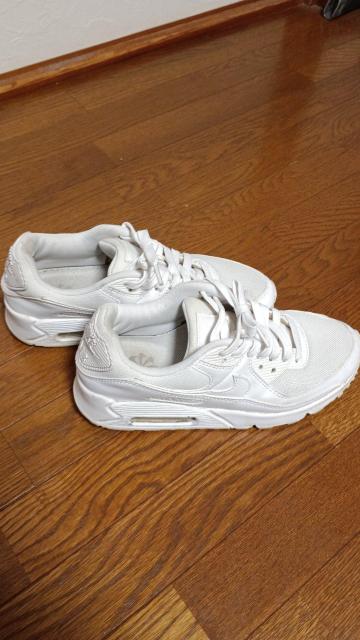 NIKE AIR MAX iCL GA}bNX Xj[J[  uh 