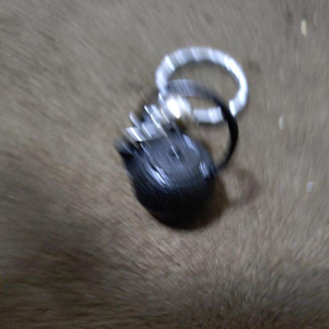 �L�[�z���_�[�@�S�r �� �z�r�[�� 