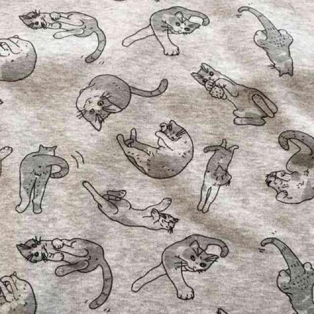 nekotsuboElRLN^[Nуg[i[BD  t@bV 