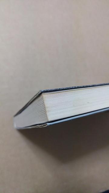 { VEm`Ȃ킢 ̑r͂@ѕt Ł@ъW@TPCo