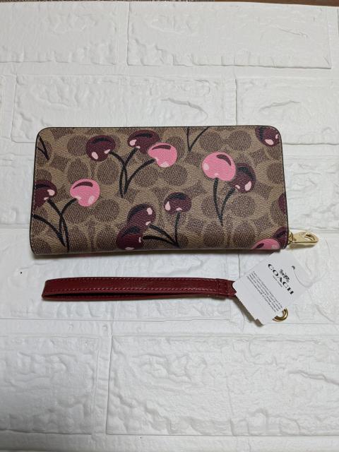 COACH�����z�@�V�O�l�`���[�`�F���[