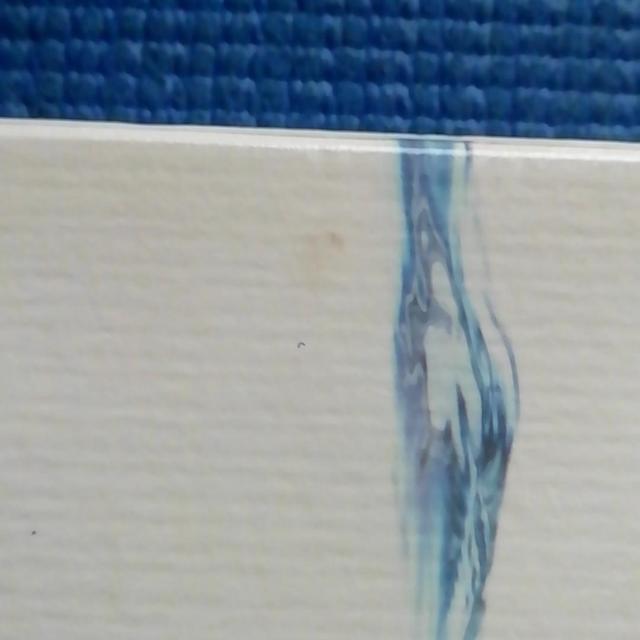 未開封 2DVD+CD 日本は森の國 茂木栄 薗田稔 松永国彦 < CD/DVD/ビデオ 未開封 2DVD+CD 日本は森の國 茂木栄 薗田稔 松永国彦 < CD/DVD/ビデオの