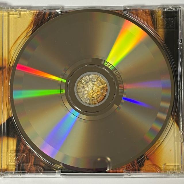 ��ߔe���� / momentum �� �^�����g�O�b�Y�� 