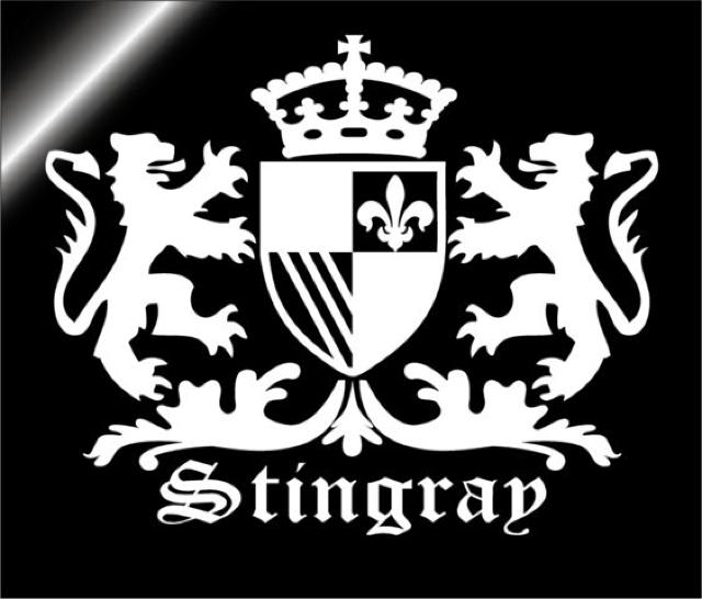 STINGRAYEXeBO[ރCIq̓XebJ[  /oCN