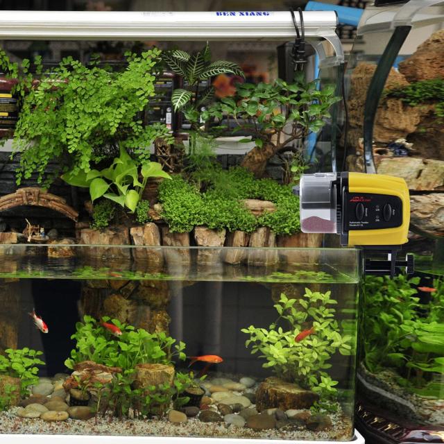 魚自動給餌器 オートフィーダー 留守中の餌やり < ペット/手芸/園芸  魚自動給餌器 オートフィーダー 留守中の餌やり < ペット/手芸/園芸の