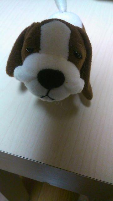 送料込み・きょうのわんこシリーズ〔廃盤〕バセットハウンド < おもちゃ  送料込み・きょうのわんこシリーズ〔廃盤〕バセットハウンド  < おもちゃの