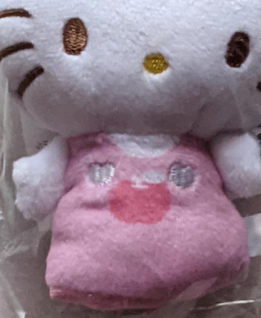 n[LeB50thAjo[T[肭 wl`(sN)   