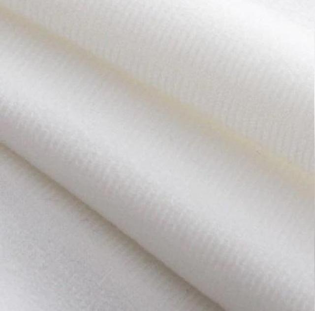 Vi UEtC The Fly NbVJo[ fBbhEN[lo[O  CeA/Ct 