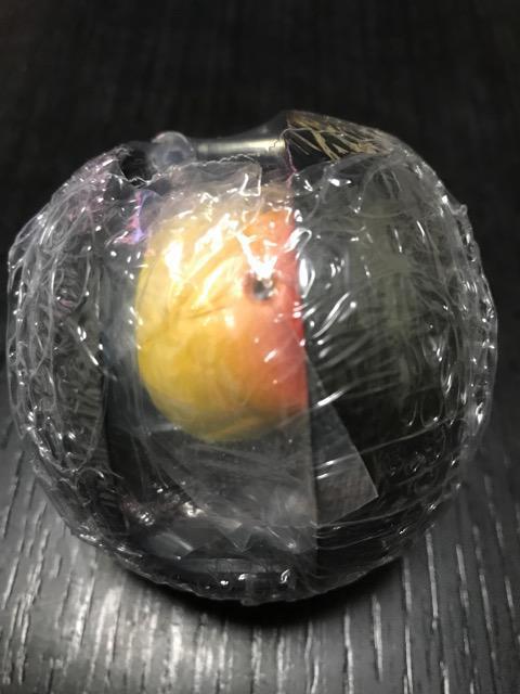 いきもの大図鑑 とっくりばち ツマグロスズメバチ 未開封 < ホビー  いきもの大図鑑 とっくりばち ツマグロスズメバチ 未開封  < ホビーの