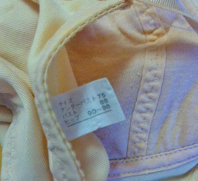 ԕ[X{fB[X[cA_[VTTCY@