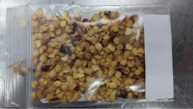 ؍@hq^l@100  ybg/|/| 