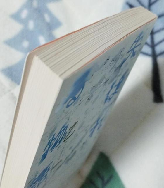 ���� ���͂�镨�� �p�앶�� �Z�ҏW �z���[ �T�X�y���X ���� �� �{/�G���� 