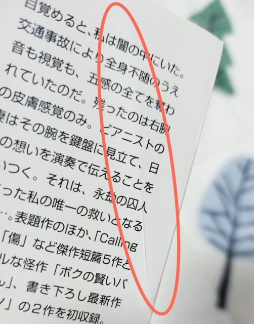 ���� ���͂�镨�� �p�앶�� �Z�ҏW �z���[ �T�X�y���X ���� �� �{/�G���� 