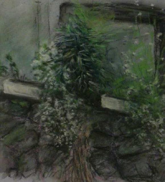 絵画 パステル 作者不詳『白い花』真作保証 原画 < ホビー 絵画 パステル 作者不詳『白い花』真作保証 原画 < ホビーの