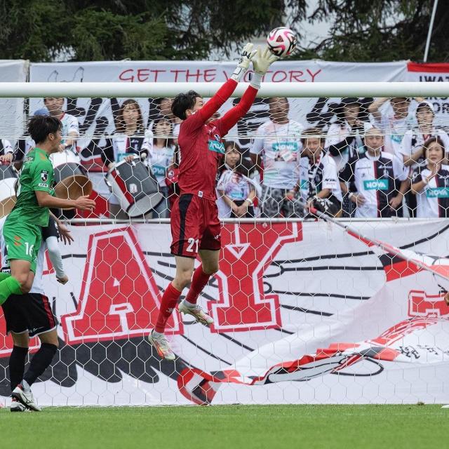 #21 t uI蒼MTC 20NLOjtH[㉺Zbg