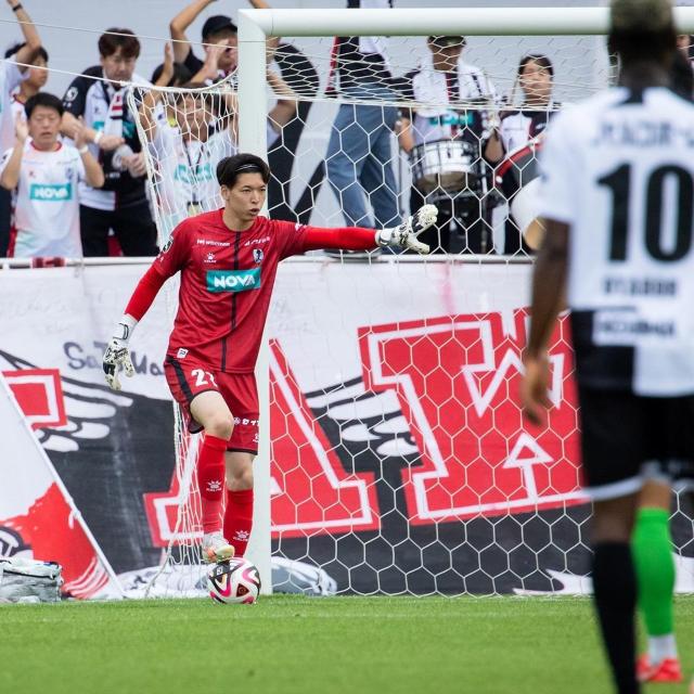 #21 t uI蒼MTC 20NLOjtH[㉺Zbg