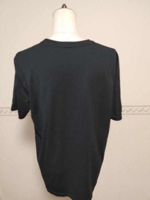 AP STUDIO G[s[XgDfBI lLCߍTVciPgphD[YBGNX