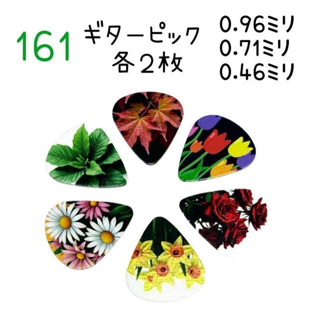 161 M^[sbN ԕ 3ފeQ@~bNXZbg@ARM@EN@GL   zr[ 